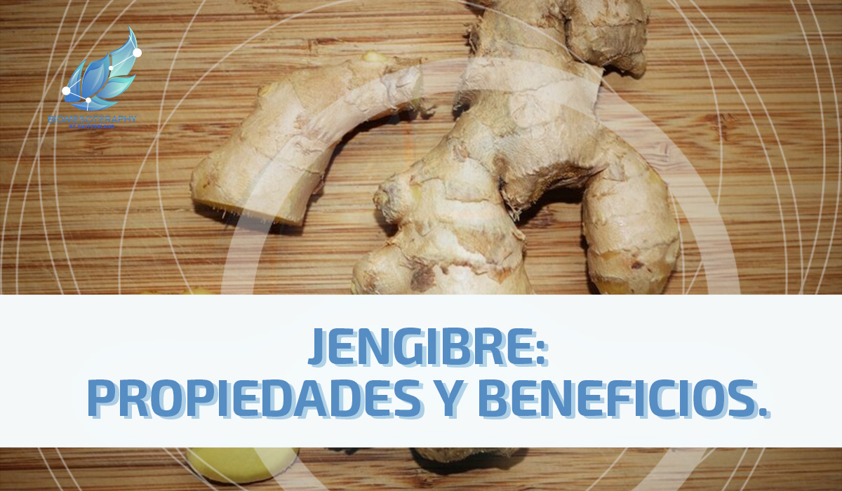Jengibre: propiedades y beneficios