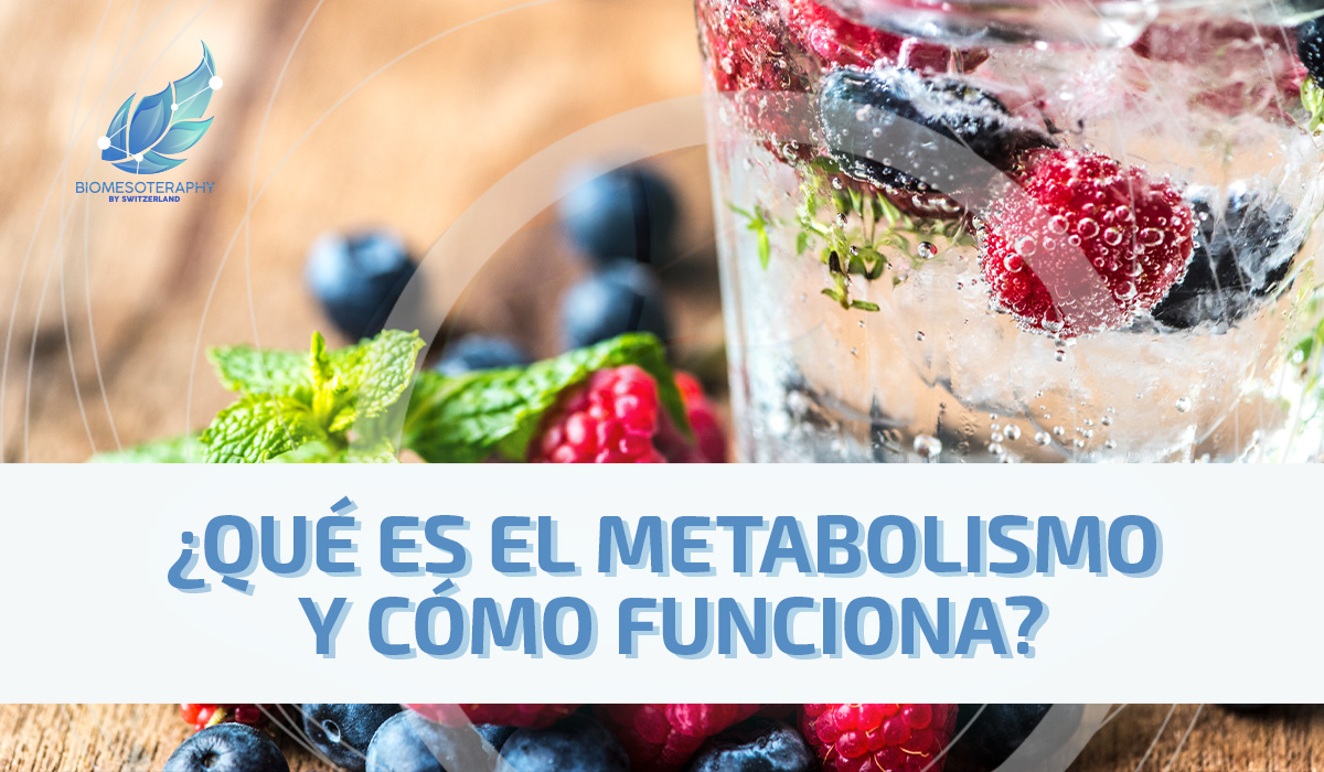 ¿Qué es el metabolismo y cómo funciona?